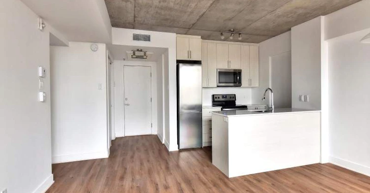 802-1325 St Andre Rue, Montréal, QC, H2L 0G6 - 6
