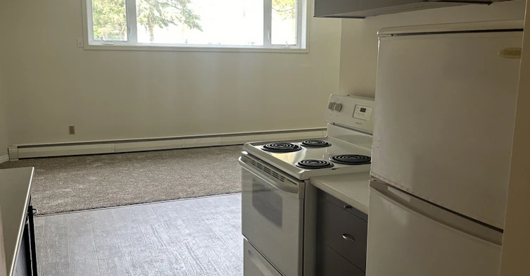 11130 57 Avenue NW, Edmonton, AB, T6H 0Z8
