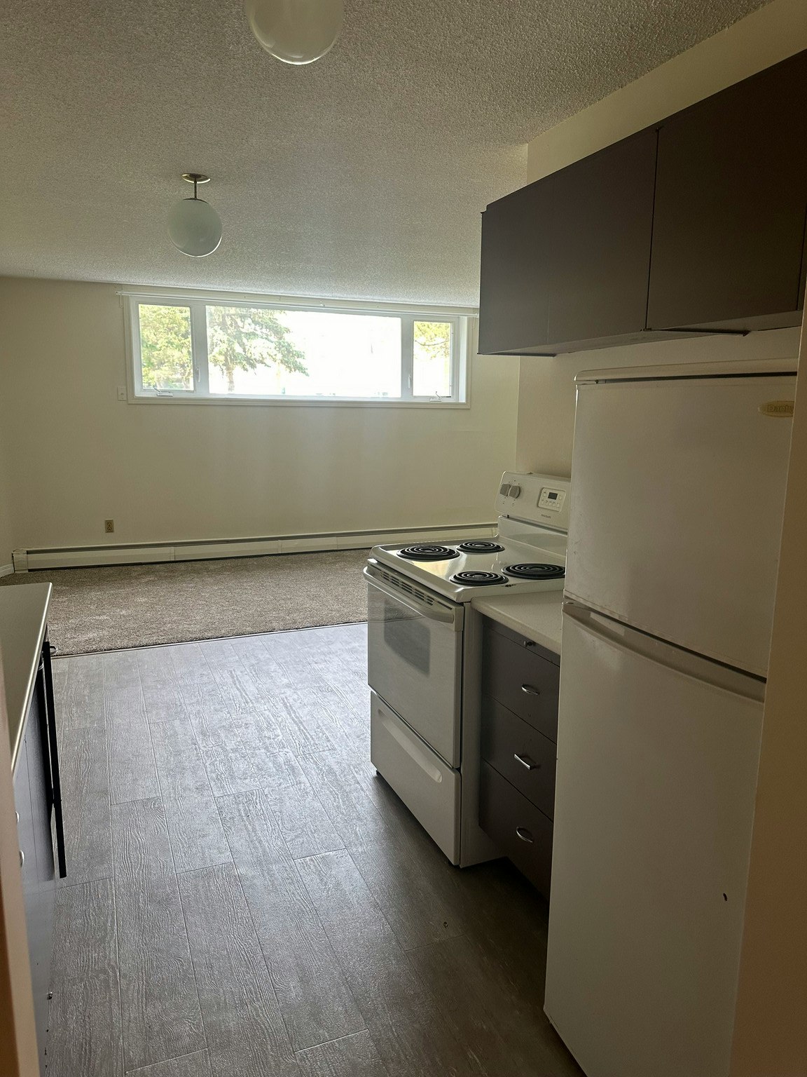 11130 57 Avenue NW, Edmonton, AB, T6H 0Z8
