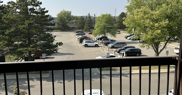 11003 29a Avenue Northwest, Edmonton, AB, T6J 4S8 - 10