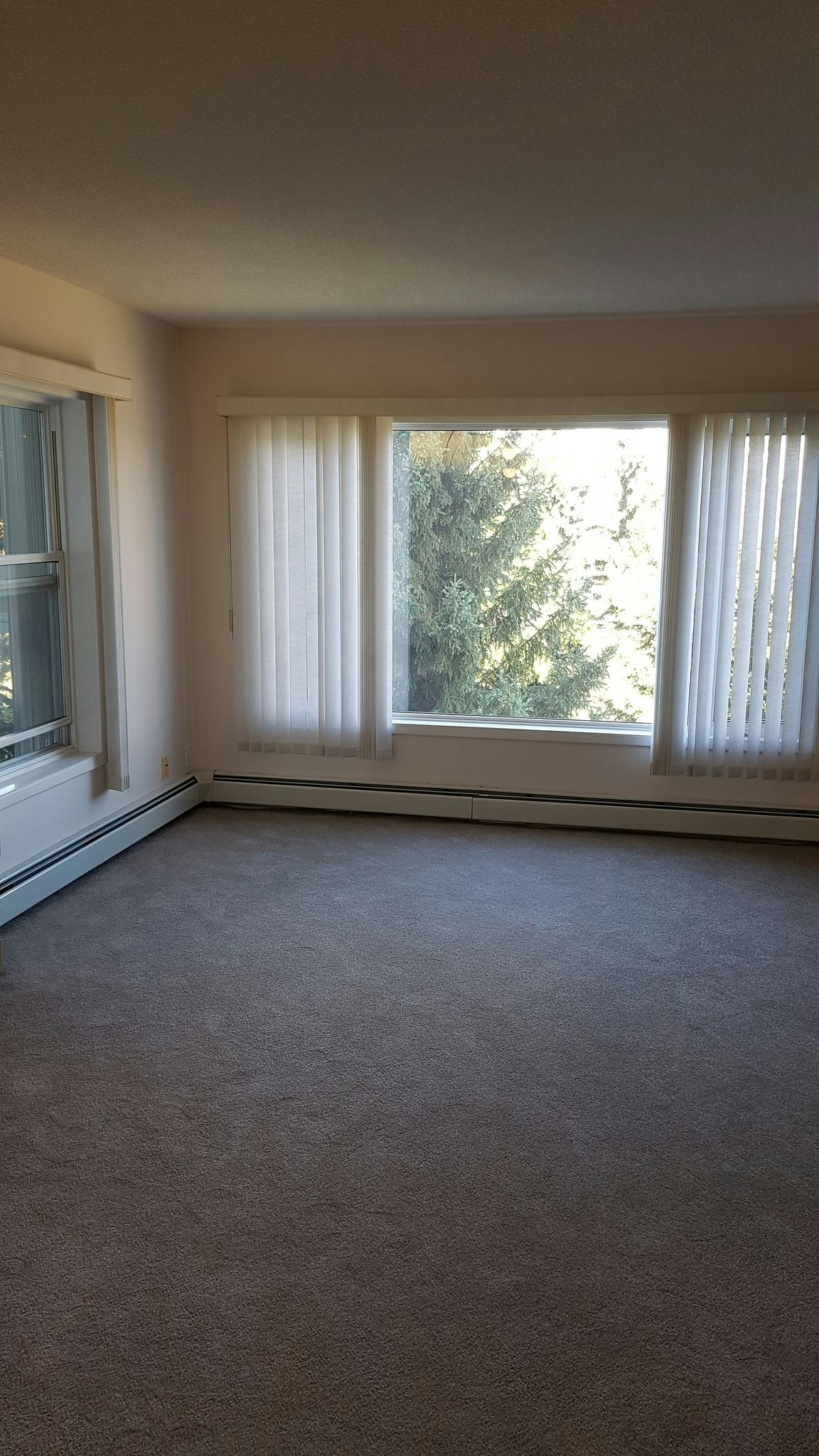 2914 109 Street Northwest, Edmonton, AB, T6J 7E8 - 4
