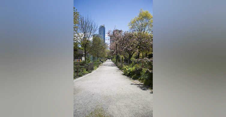 14 -1086 Bute Street, Vancouver, BC, V6E 1Z5 - 6