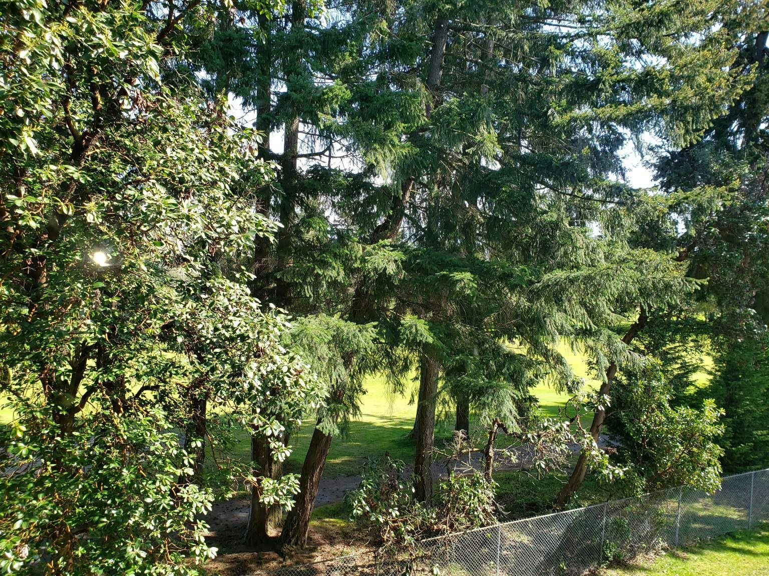204-2600 Highland Boulevard, Nanaimo, BC, V9S 5G1 - 6