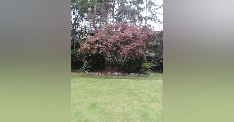 1644 Nelson Street, Vancouver, BC, V6G 2Y9 - 11
