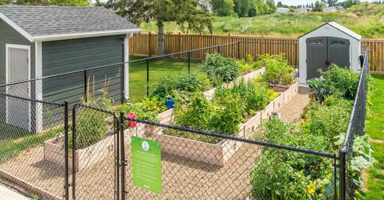 1640 Sycamore Drive, Brandon, MB, R7A 7Y4 - 16