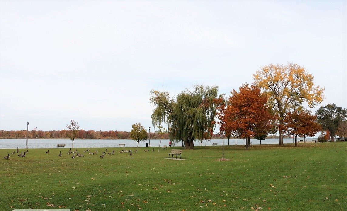 25-211 Buckingham Road, Windsor, ON, N8S 2C5 - 21