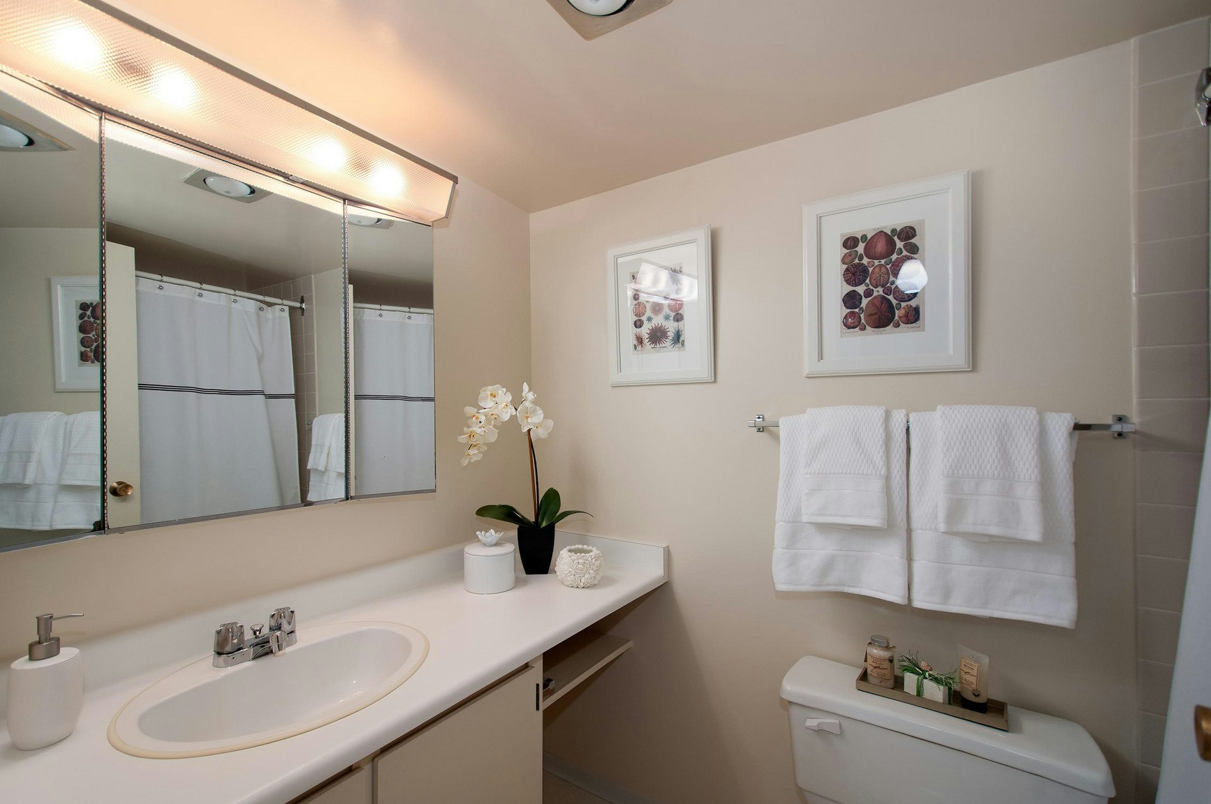 204-2233 Allison Road, Vancouver, BC, V6T 1T7 - 9