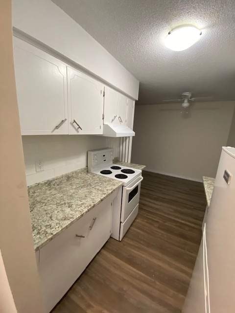 22182 Dewdney Trunk Road, Maple Ridge, BC, V2X 3H8 - 2