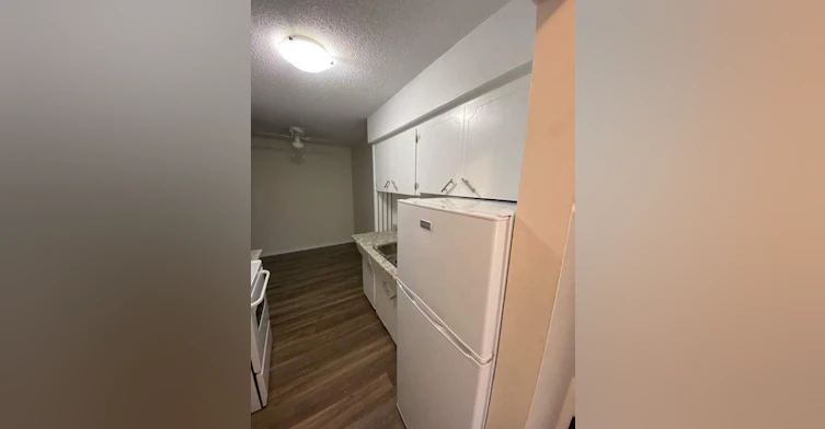 22182 Dewdney Trunk Road, Maple Ridge, BC, V2X 3H8 - 3