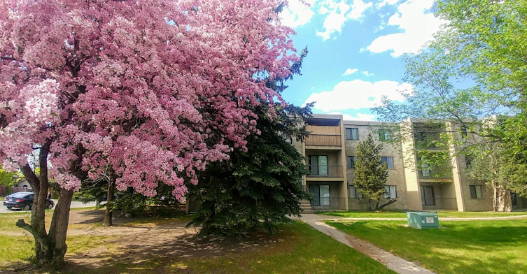 175 Columbia Boulevard West, Lethbridge, AB, T1K 6X4 - 16