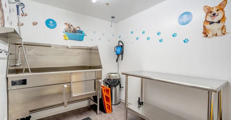 814 Innes Avenue, Cranbrook, BC, V1C 0E7 - 17