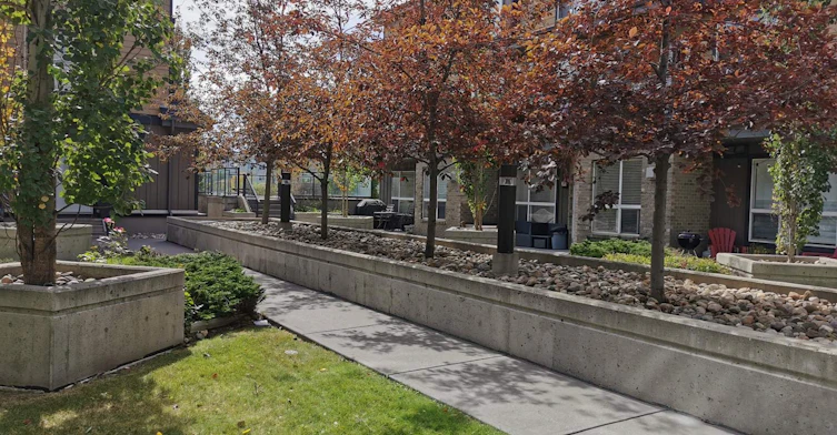 81 Legacy Boulevard SE, Calgary, AB, T2T 2C8 - 16