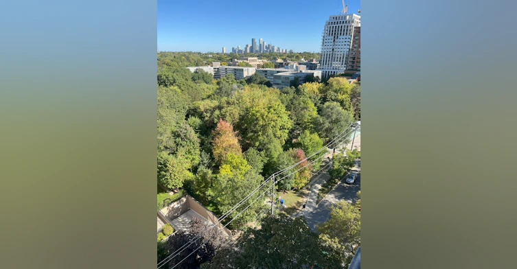21 Tichester Road, Toronto, ON, M5P 3M4 - 14