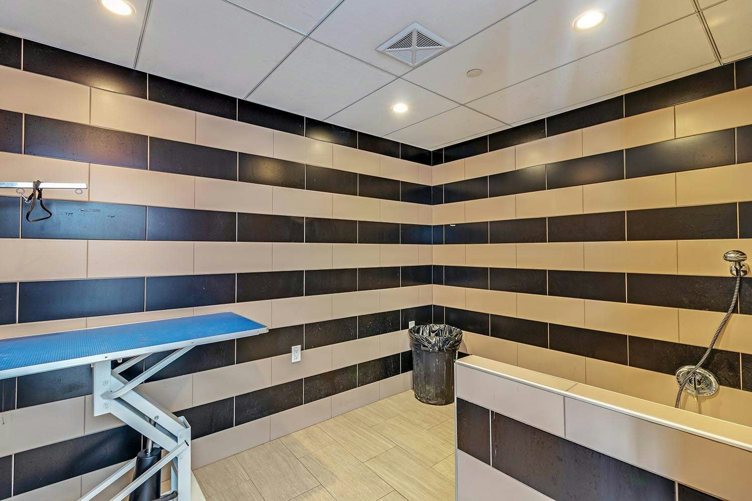 66 Isabella Street, Toronto, ON, M4Y 1N3 - 16
