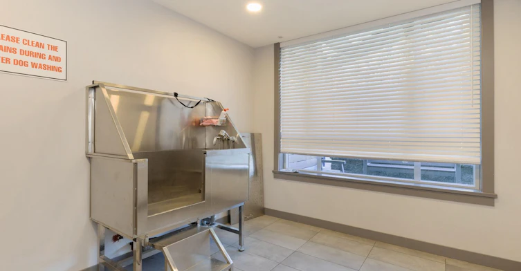 120-32690 14 120 Avenue, Mission, BC, V2V 0K5 - 9
