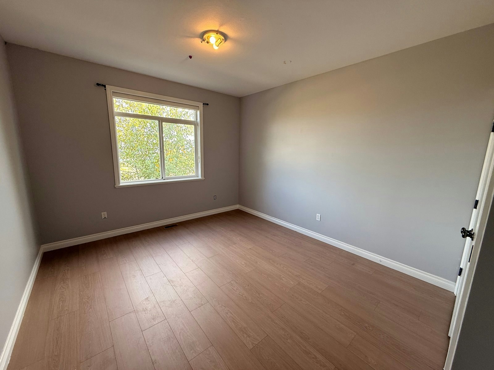 Main-46801 Sylvan Drive, Chilliwack, BC, V2R 4E9 - 7
