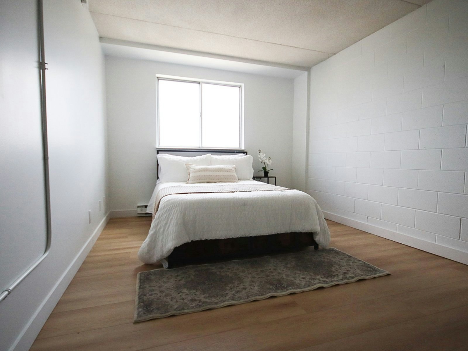 Viewings-50 University Avenue E, Waterloo, ON, N2J 2V8 - 3
