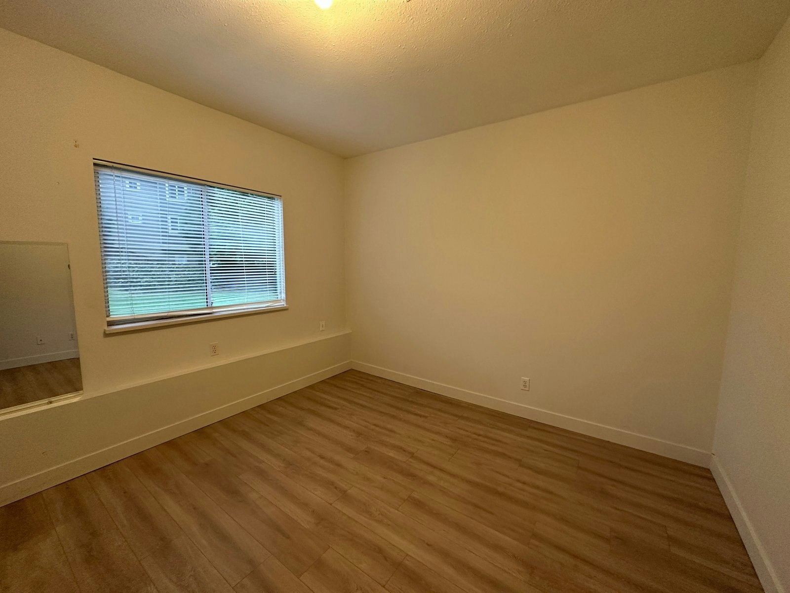 BSMT-2767 Babich Street, Abbotsford, BC, V2S 3K4 - 5