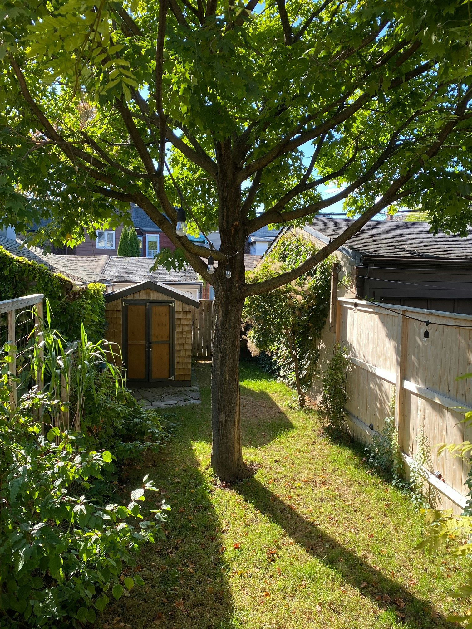 560 Crawford Crawford Street Street, Toronto, ON, M6G 3J8 - 7