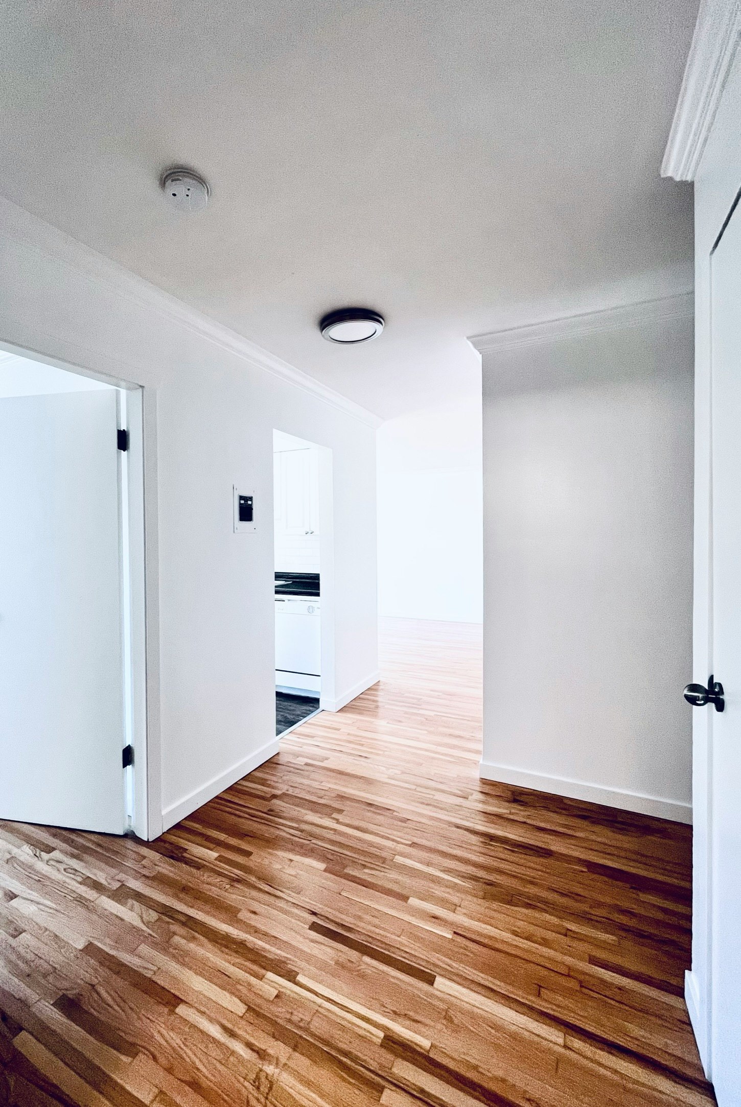 204-1280 Madison Avenue, Burnaby, BC, V5C 4Y5 - 5