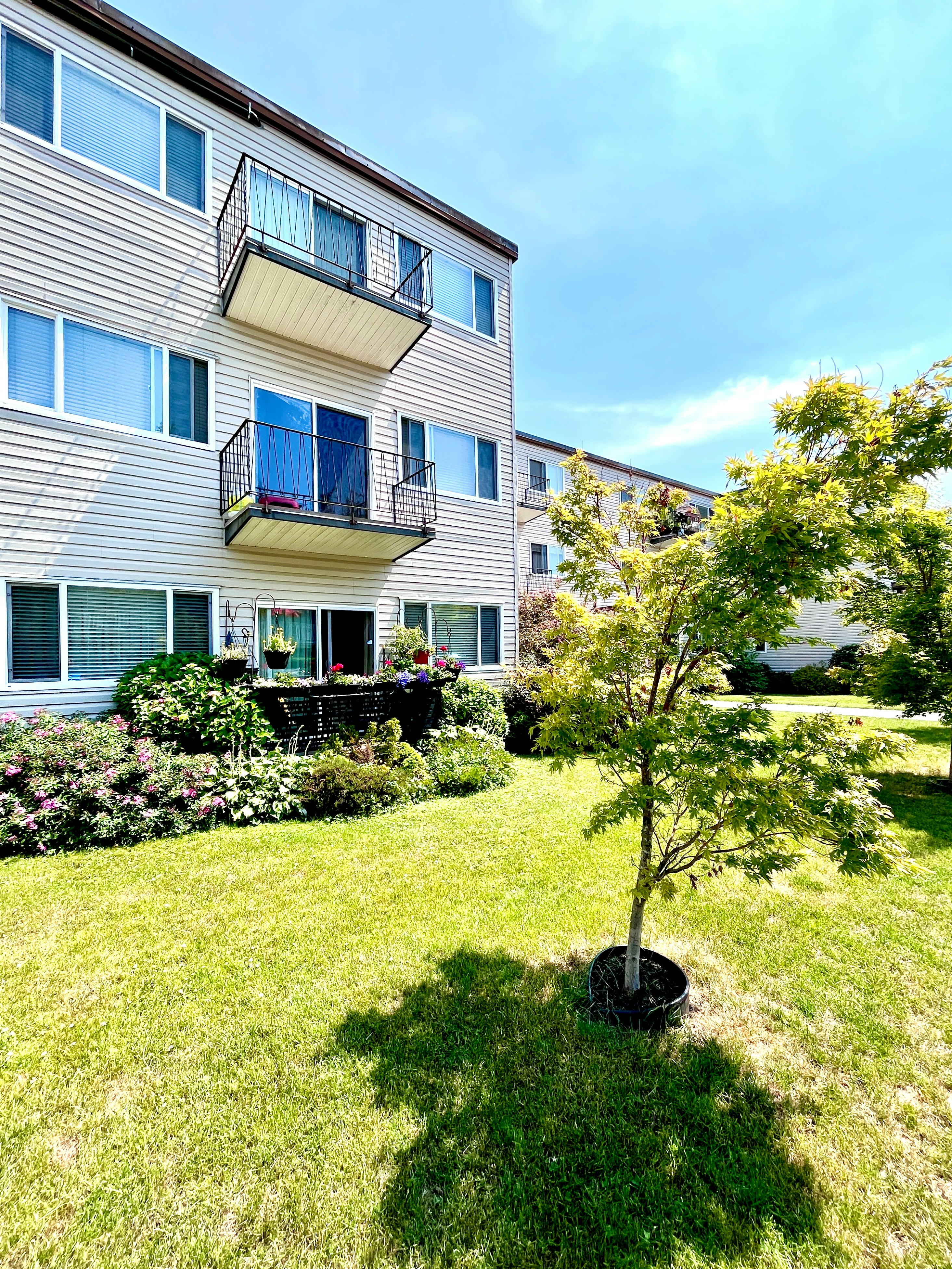 105-1280 Madison Avenue, Burnaby, BC, V5C 4Y5 - 15