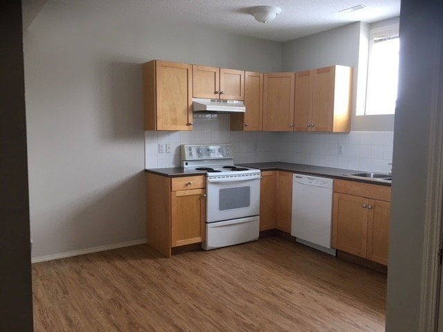 Lower-4830 48 Street, Olds, AB, T4H 1E1 - 2