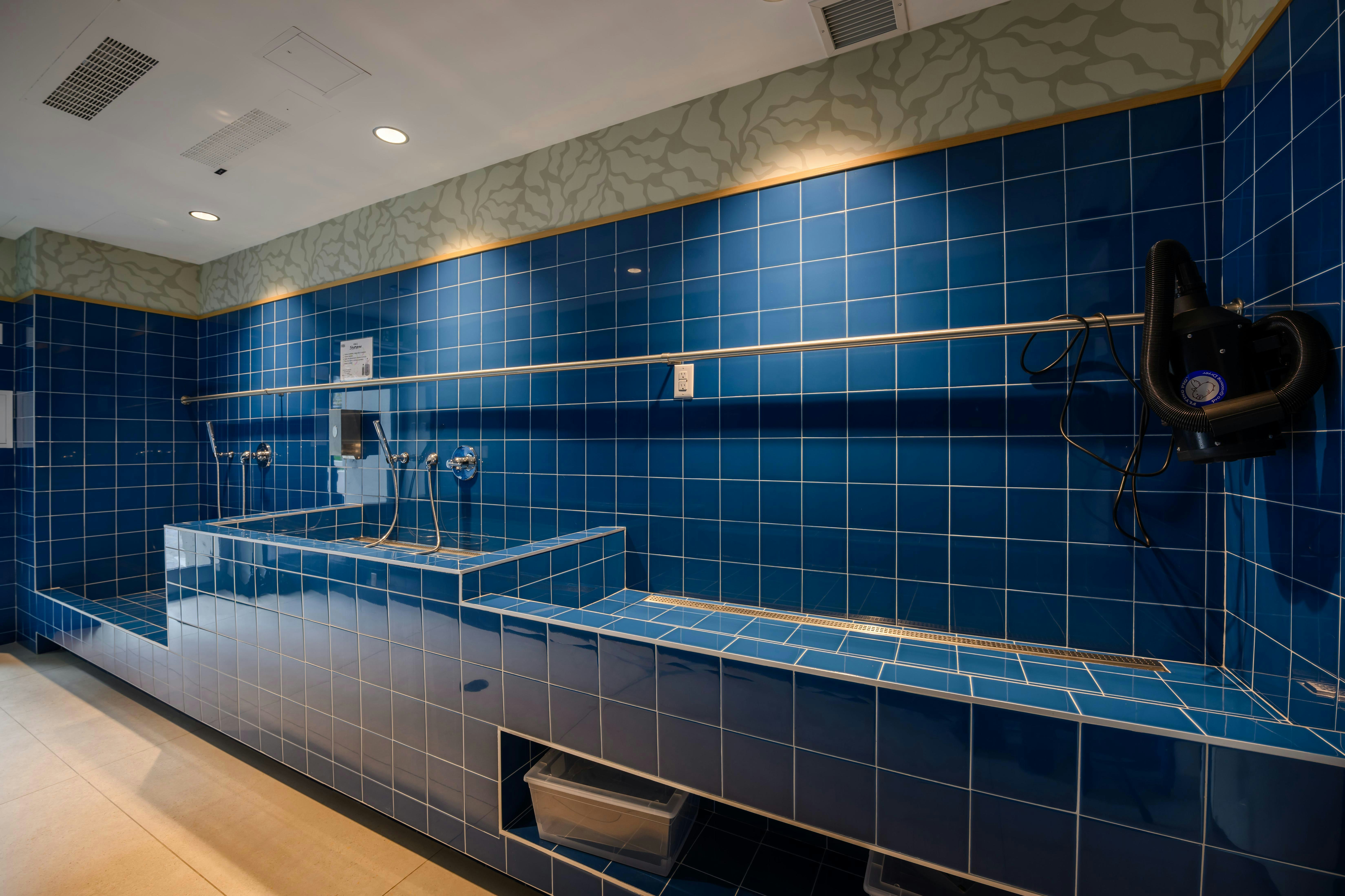 1 Bedroom + Den-73 Broadway Avenue, Toronto, ON, M4P 0G3 - 23