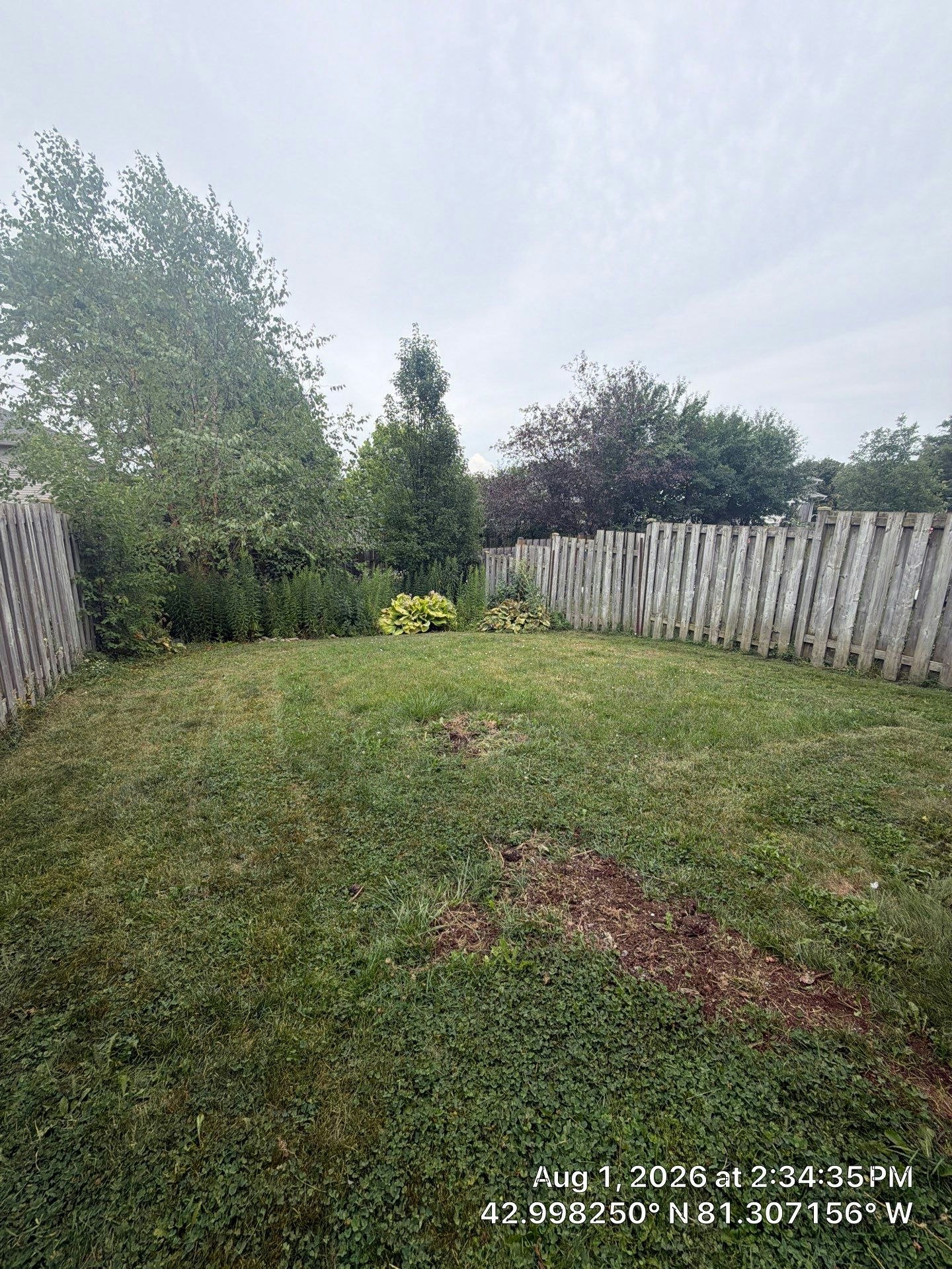 1138 Limberlost Road, London, ON, N6G 3A5 - 8