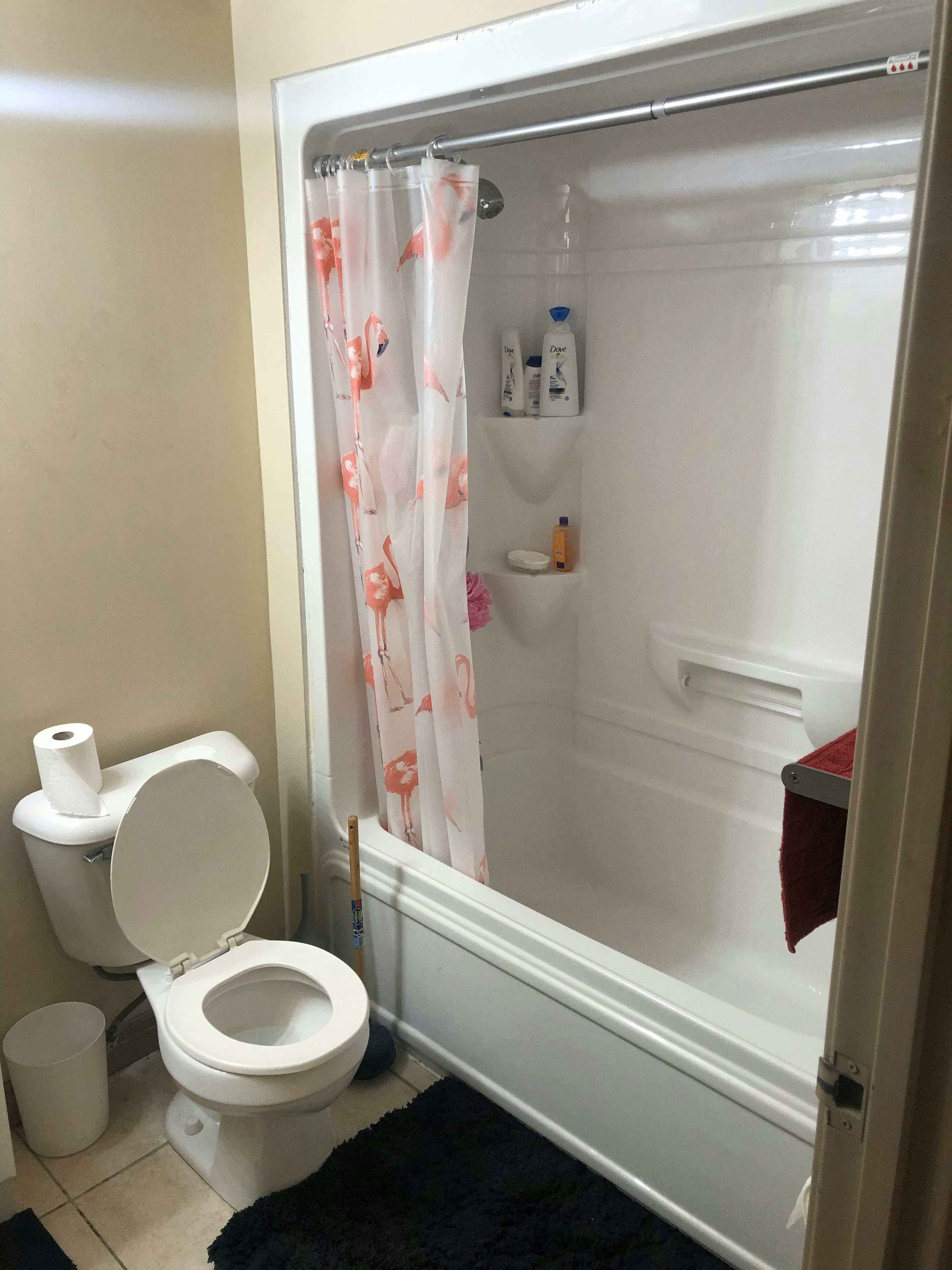 206-Room1-251 Lester Street, Waterloo, ON, N2L 3W6 - 8
