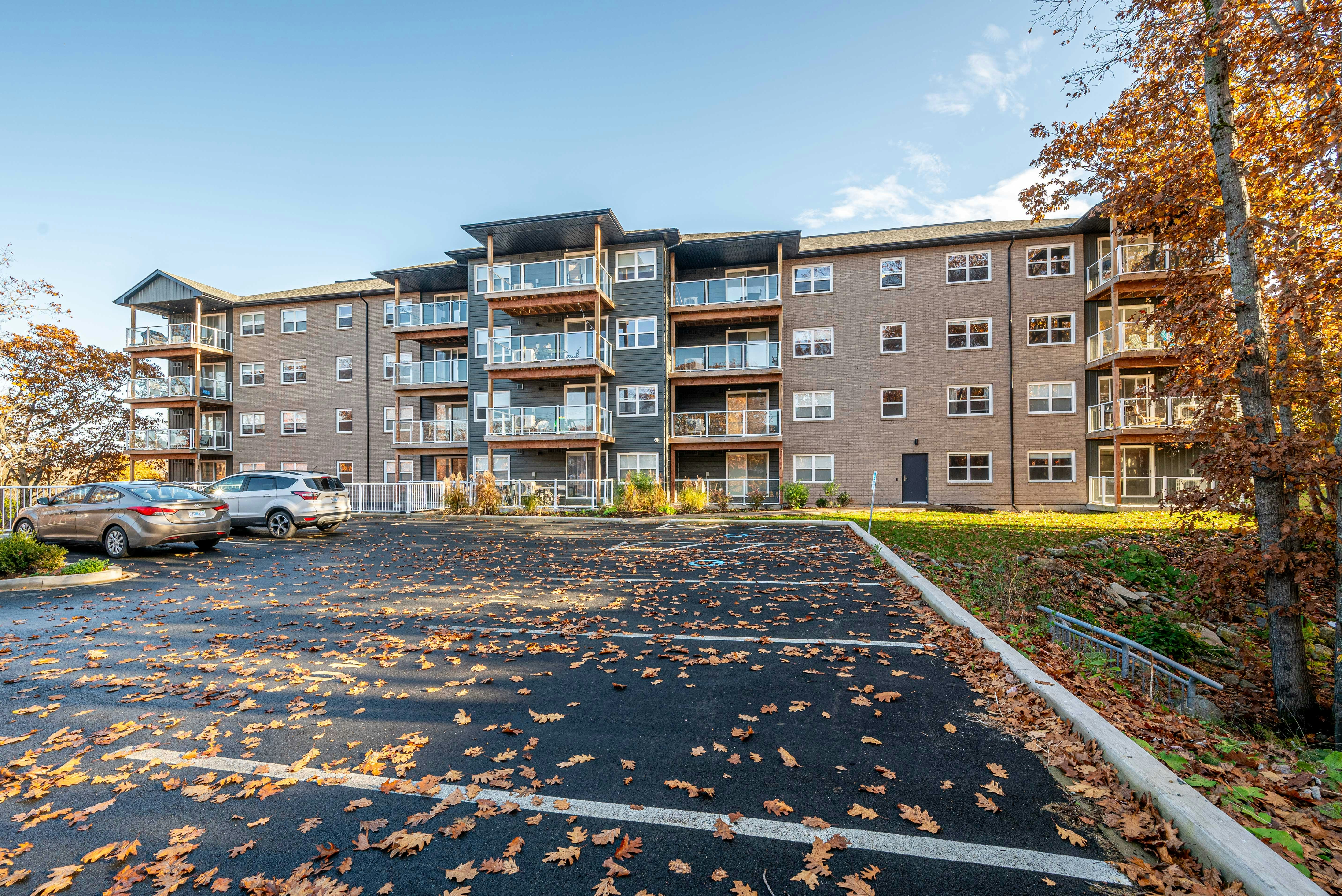 302-72 Primrose Street, Dartmouth, NS, B3A 0H1 - 3