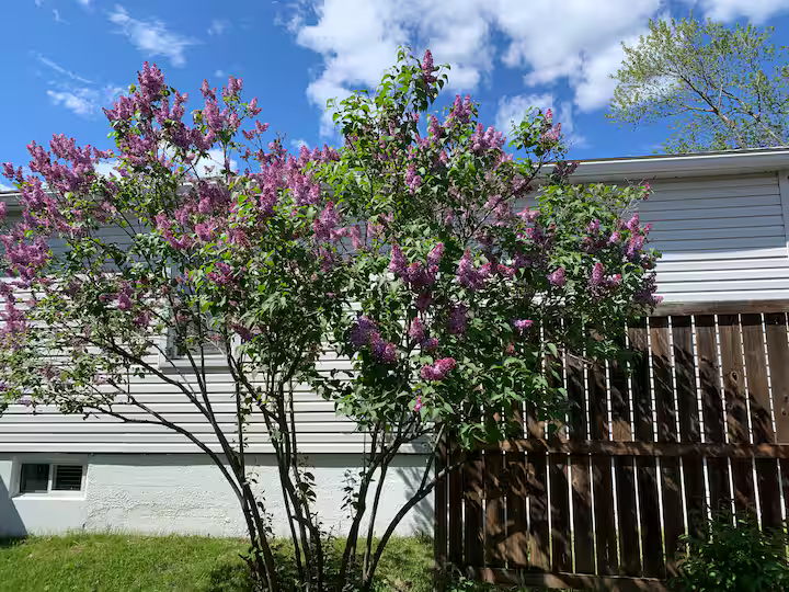 967 Attlee Avenue, Greater Sudbury, ON, P3A 3J1 - 16