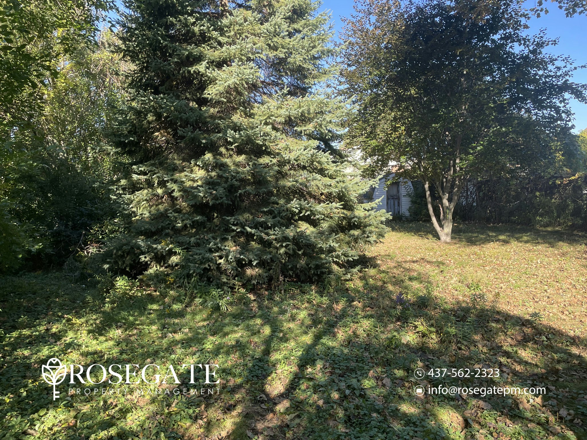 3-39 Centennial Parkway South, Hamilton, ON, L8G 2C1 - 19