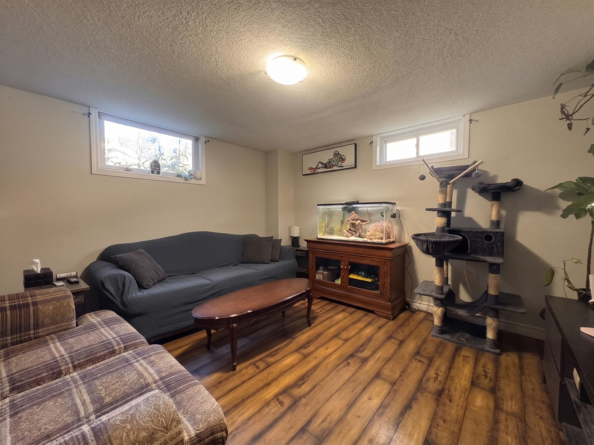 Lower-258 Shelley Drive, Kitchener, ON, N2C 1N1 - 4