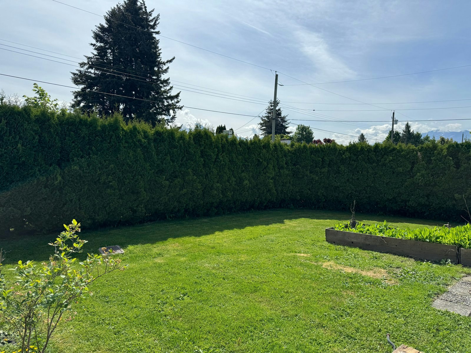 Main-9555 Windsor Street, Chilliwack, BC, V2P 6C3 - 16