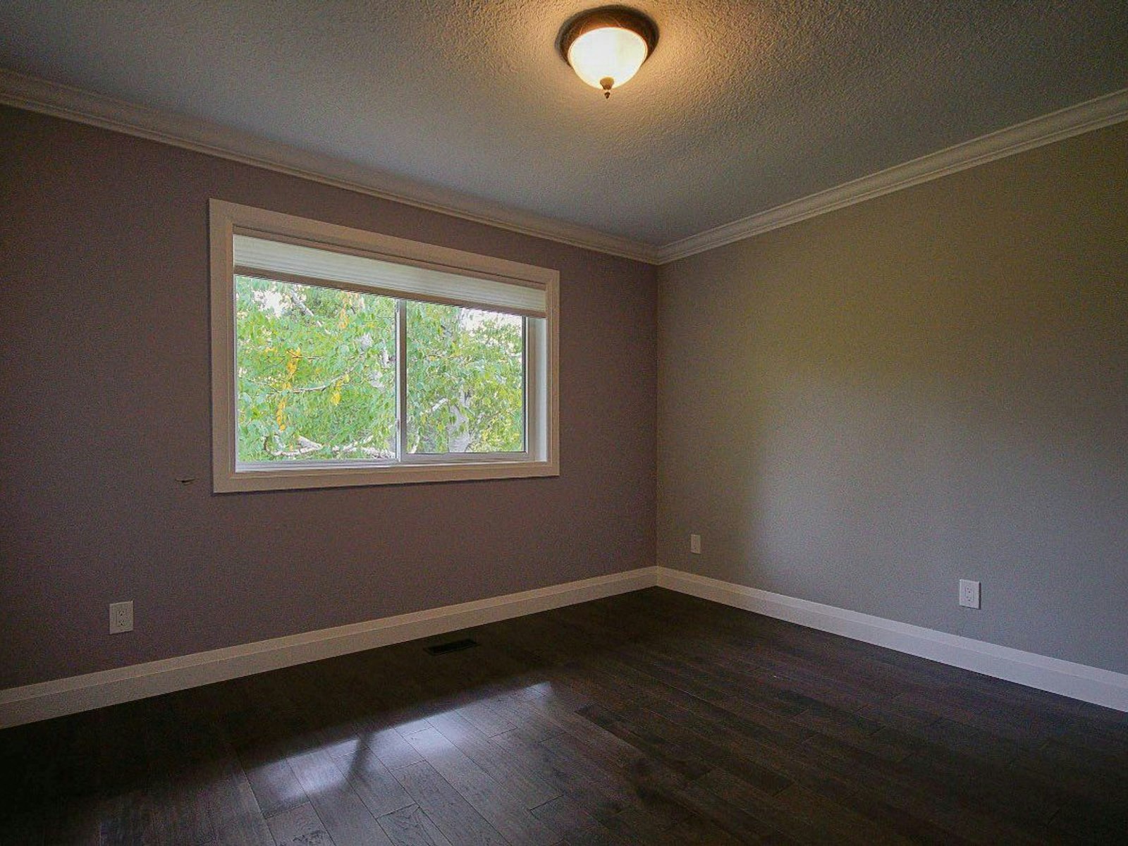 Main-430 New Dundee Road, Kitchener, ON, N2P 2N7 - 7