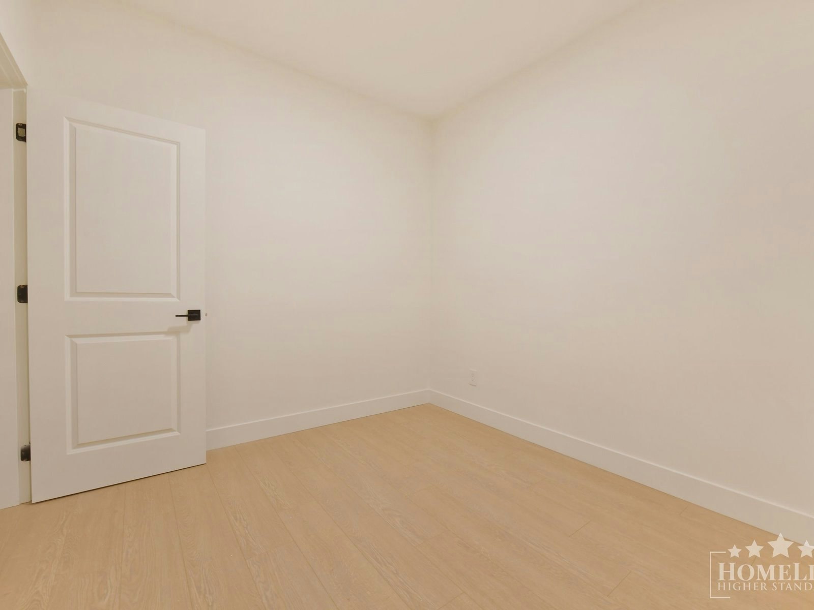 Basement-16678 16 Basement Avenue, Surrey, BC, V3Z 9M4 - 22