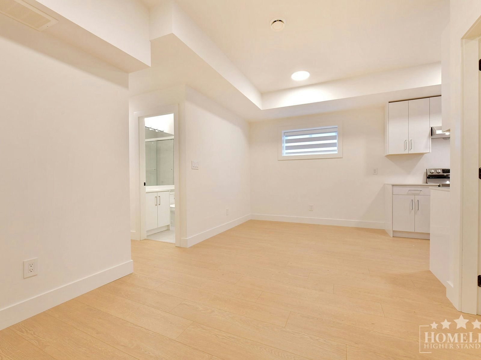Basement-16678 16 Basement Avenue, Surrey, BC, V3Z 9M4 - 3