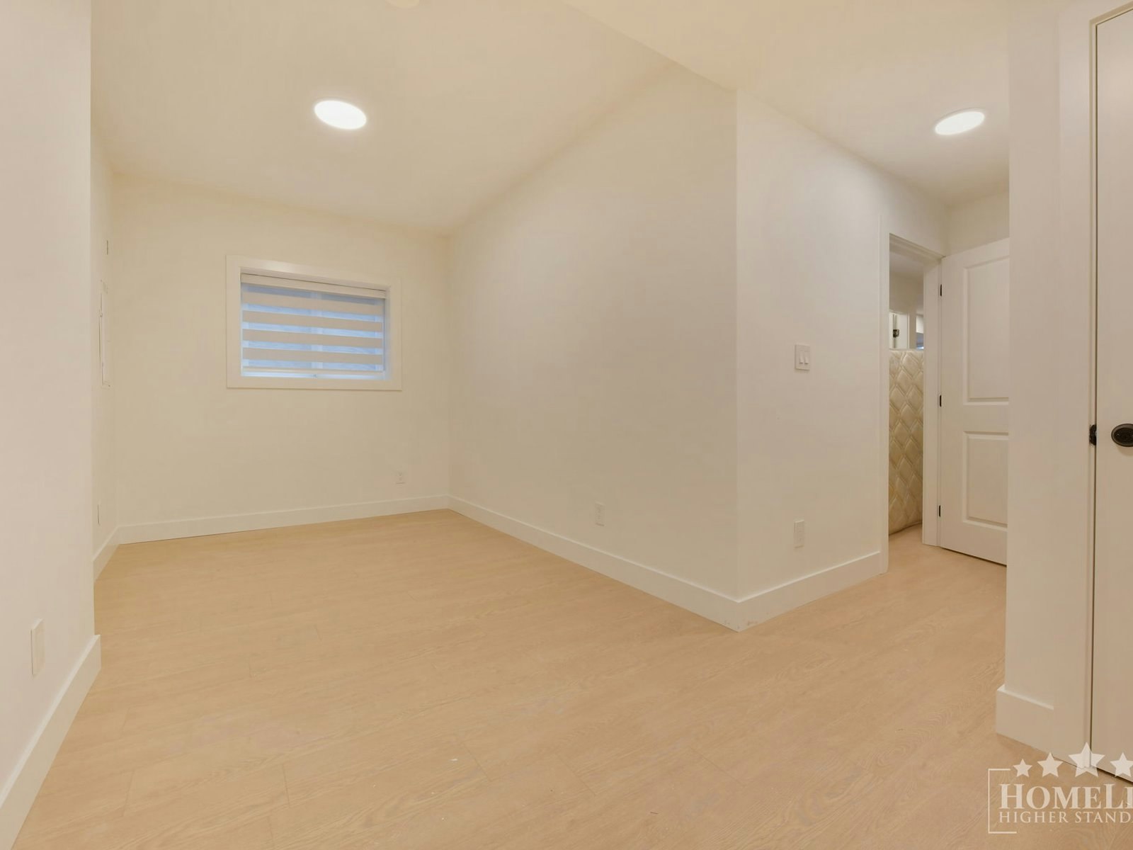 Basement-16678 16 Basement Avenue, Surrey, BC, V3Z 9M4 - 12
