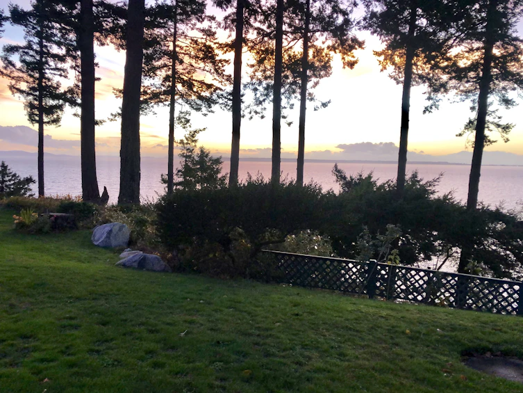 2250 Christopherson 19 Road, Surrey, BC, V4A 3L3 - 20