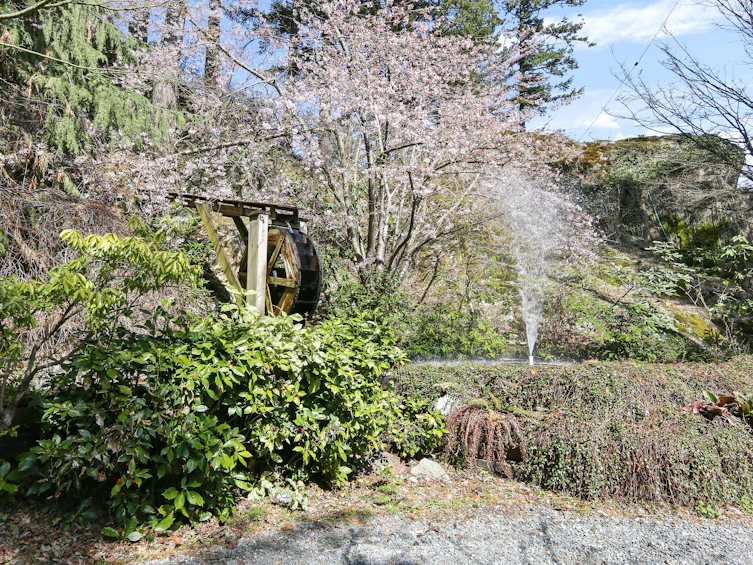 3599 Lougheed Highway, Agassiz, BC, V0M 1A1 - 29