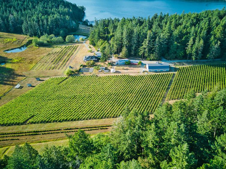 3200 Clam Bay Road, Pender Island, BC, V0M 2M1 - 62