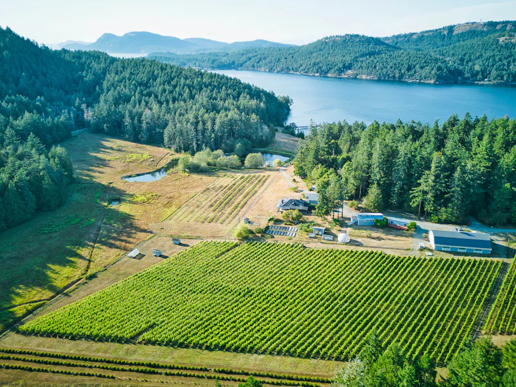 3200 Clam Bay Road, Pender Island, BC, V0M 2M1 - 2