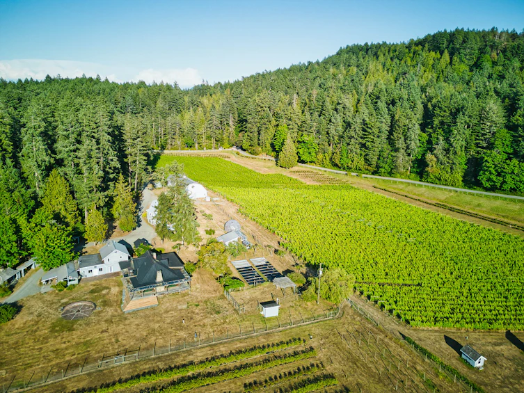 3200 Clam Bay Road, Pender Island, BC, V0M 2M1 - 63