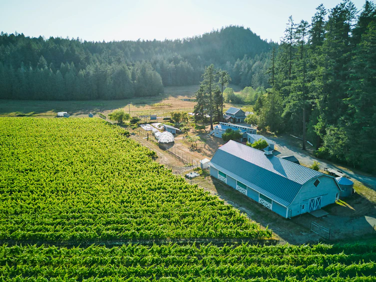 3200 Clam Bay Road, Pender Island, BC, V0M 2M1 - 65