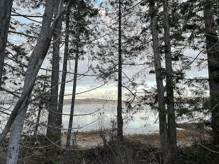 Lot-15 Wavell Road, Fanny Bay, BC, V0R 1W0 - 41