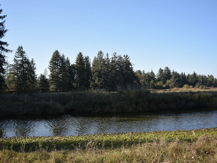 Lot-15 Wavell Road, Fanny Bay, BC, V0R 1W0 - 12