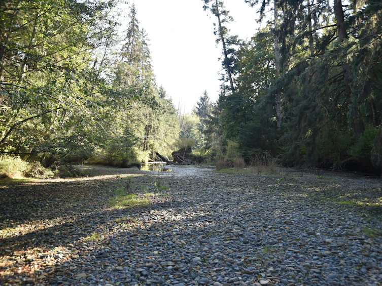 Lot-15 Wavell Road, Fanny Bay, BC, V0R 1W0 - 14