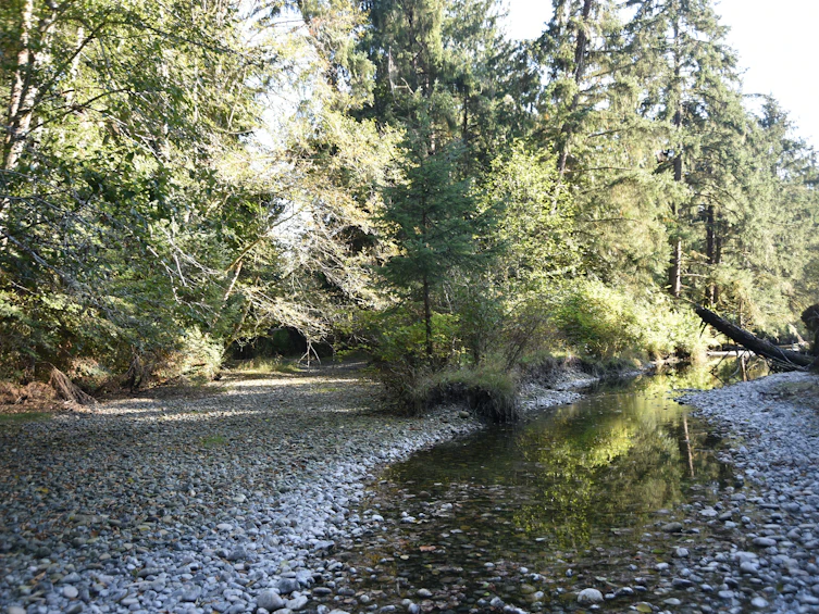 Lot-15 Wavell Road, Fanny Bay, BC, V0R 1W0 - 15