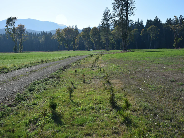 Lot-15 Wavell Road, Fanny Bay, BC, V0R 1W0 - 10