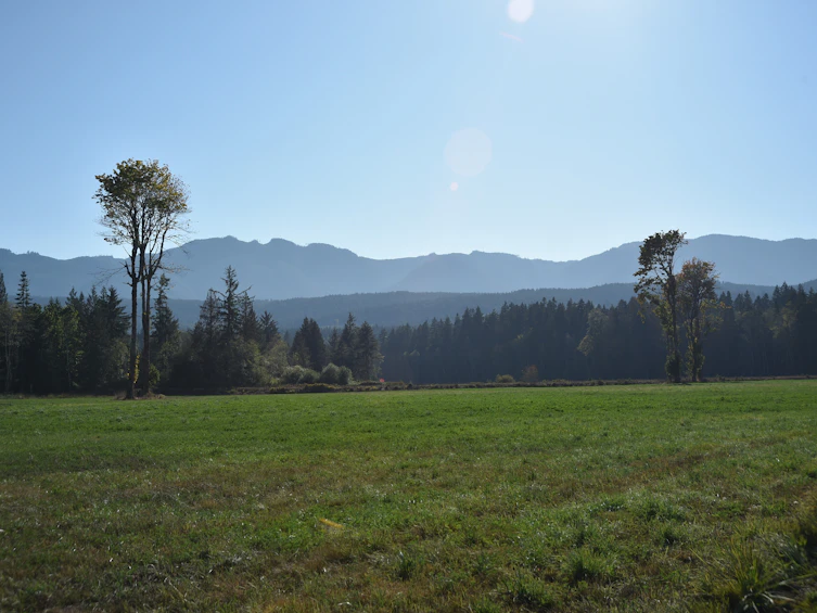 Lot-15 Wavell Road, Fanny Bay, BC, V0R 1W0 - 19